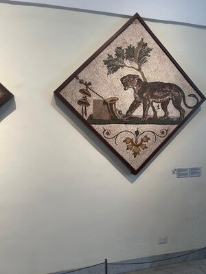 WhatsApp Image 2024-06-01 at 21.53.37